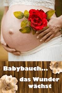 Babybauch...das Wunder wächst - Laura Paulsen - E-Book