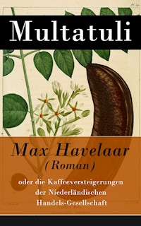 Max Havelaar (Roman) - Multatuli - E-Book