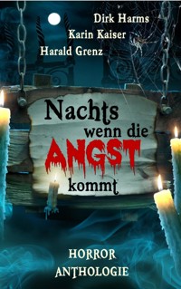 Nachts wenn die Angst kommt - Harald Grenz - E-Book