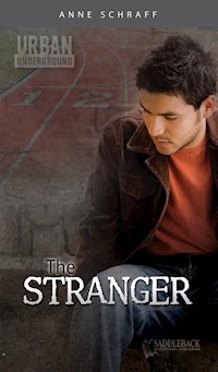 The Stranger - Anne Schraff - E-Book