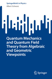 Quantum Mechanics and Quantum Field Theory from Algebraic and Geometric Viewpoints - Albert Schwarz - E-Book