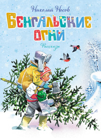 Бенгальские огни - Николай Носов - E-Book