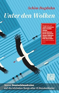 Unter den Wolken - Achim Bogdahn - E-Book