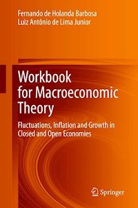 Workbook for Macroeconomic Theory - Fernando de Holanda Barbosa - E-Book
