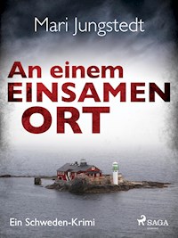An einem einsamen Ort - Ein Schweden-Krimi - Mari Jungstedt - E-Book