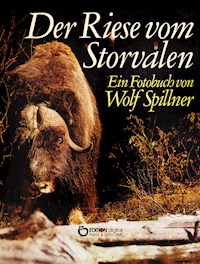 Der Riese vom Storvalen - Wolf Spillner - E-Book