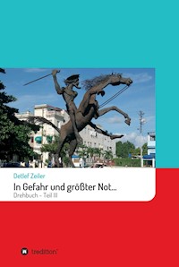 In Gefahr und größter Not... - Detlef Zeiler - E-Book