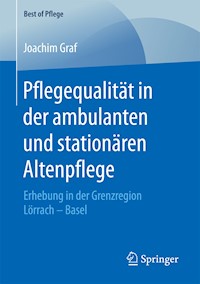 Pflegequalität in der ambulanten und stationären Altenpflege - Joachim Graf - E-Book