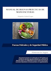 Manual de buenas prácticas de manufacturas - Alejandro Gabriel López - E-Book