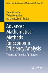 Advanced Mathematical Methods for Economic Efficiency Analysis -  - E-Book