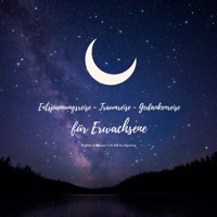 Entspannungsreise - Traumreise - Gedankenreise für Erwachsene: Meditative Fantasiereisen in die Welt der Entspannung - Patrick Lynen - Hörbuch