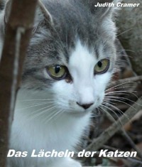 Das Lächeln der Katzen - Judith Cramer - E-Book
