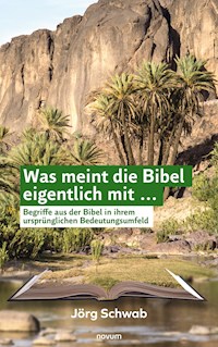 Was meint die Bibel eigentlich mit ... - Jörg Schwab - E-Book