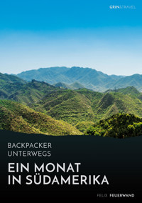 Backpacker unterwegs. Ein Monat in Südamerika - Felix Feuerwand - E-Book