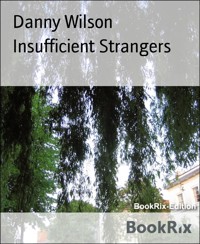 Insufficient Strangers - Danny Wilson - E-Book