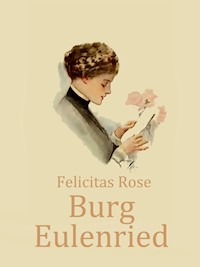 Burg Eulenried - Felicitas Rose - E-Book