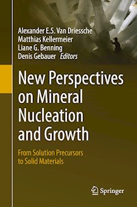 New Perspectives on Mineral Nucleation and Growth -  - E-Book