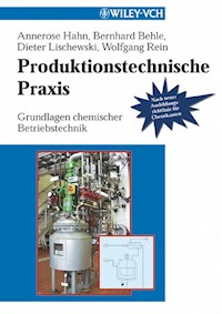 Produktionstechnische Praxis - Annerose Hahn - E-Book