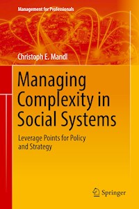 Managing Complexity in Social Systems - Christoph E. Mandl - E-Book