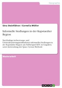 Informelle Siedlungen in der Kapstaedter Region - Sina Steinführer - E-Book