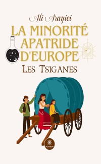 La minorité apatride d’Europe - Ali Arayici - E-Book