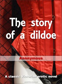 The Story of a Dildoe - Anonymous - E-Book