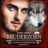 Bruderzorn, Episode 22 - Fantasy-Serie - Amber Auburn - Hörbuch