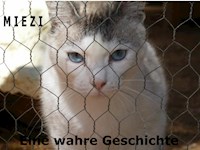 Miezi – Eine wahre Katzengeschichte - Judith Cramer - E-Book
