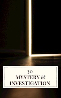 30 Mystery & Investigation - Ryūnosuke Akutagawa - E-Book