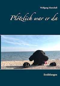 Plötzlich war er da - Wolfgang Marschall - E-Book