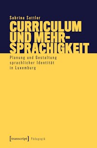 Curriculum und Mehrsprachigkeit - Sabrina Sattler - E-Book