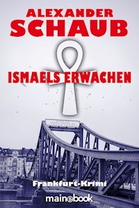 Ismaels Erwachen - Alexander Schaub - E-Book