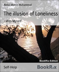 The illusion of Loneliness - Abdul Mumin Muhammad - kostenlos E-Book