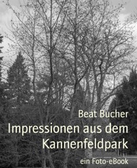 Impressionen aus dem Kannenfeldpark - Beat Bucher - E-Book