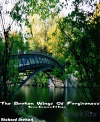 The broken wings of forgiveness - Richard Shekari - E-Book