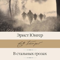 В стальных грозах - Эрнст Юнгер - Hörbuch