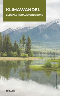 Klimawandel - globale Herausforderung - Tobias Hopfmüller - E-Book