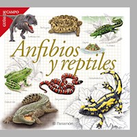 Anfibios y reptiles - Equipo Parramón Paidotribo - E-Book