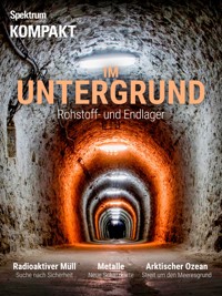 Spektrum Kompakt - Im Untergrund - Spektrum der Wissenschaft - E-Book