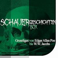 Die Schauergeschichten Box - Edgar Allan Poe - Hörbuch