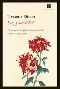 Luz y oscuridad - Natusme Soseki - E-Book