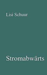 Stromabwärts - Lisi Schuur - E-Book