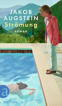 Strömung - Jakob Augstein - E-Book