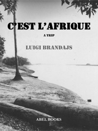 C'est l'Afrique - Luigi Brandajs - E-Book