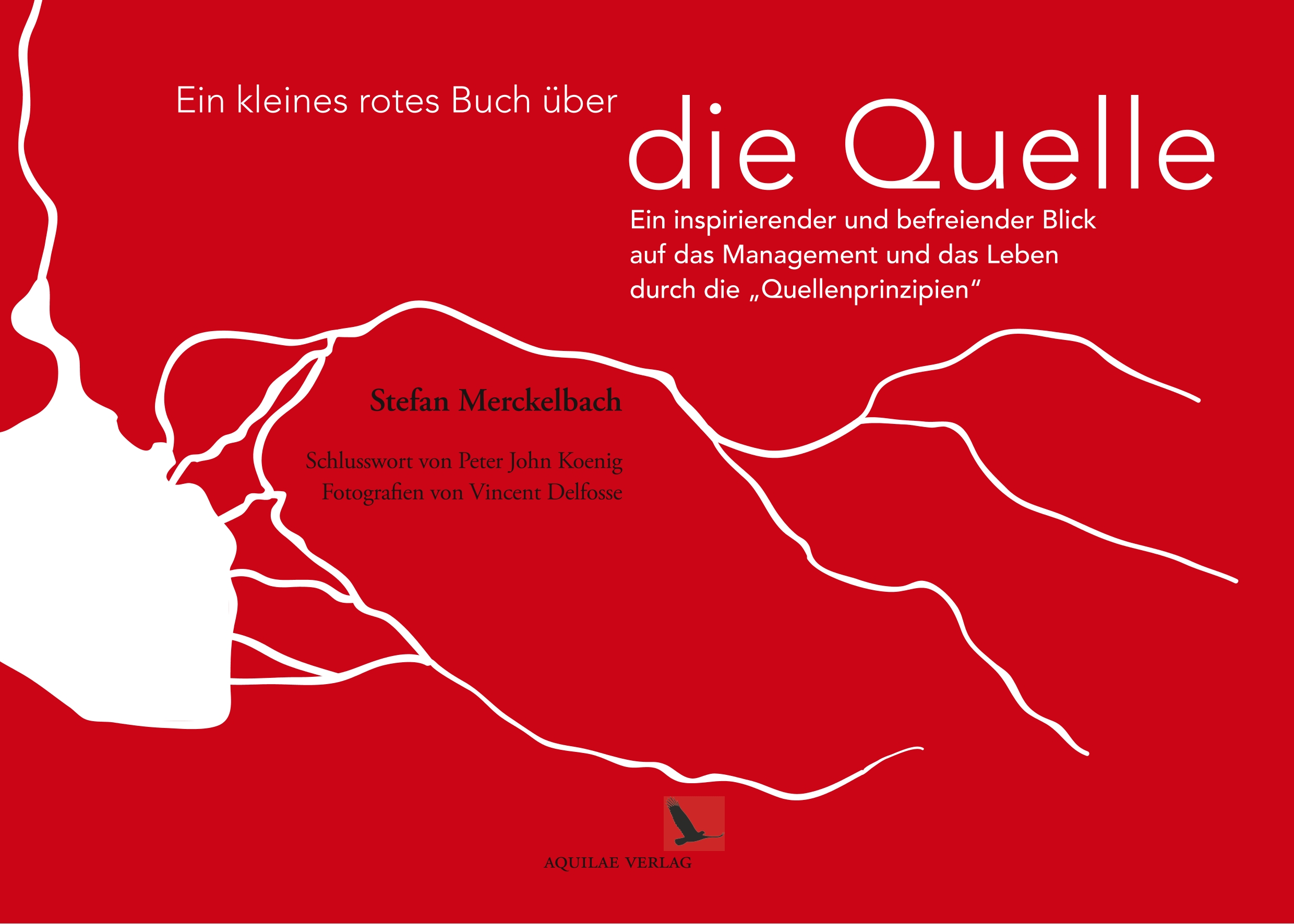 Ein kleines rotes Buch über die Quelle - Stefan Merckelbach - E-Book