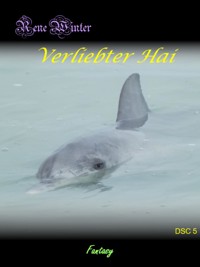Verliebter Hai - Rene Winter - E-Book