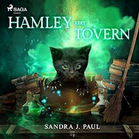 Hamley leert toveren - Sandra J. Paul - Hörbuch