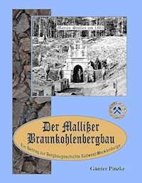 Der Mallißer Braunkohlenbergbau - Günter Pinzke - E-Book