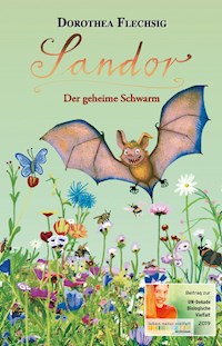 Sandor Der geheime Schwarm - Dorothea Flechsig - E-Book