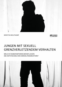 Jungen mit sexuell grenzverletzendem Verhalten. Welche Risikofaktoren beeinflussen die Entstehung von Verhaltensmustern? - Kerstin Woltkamp - E-Book